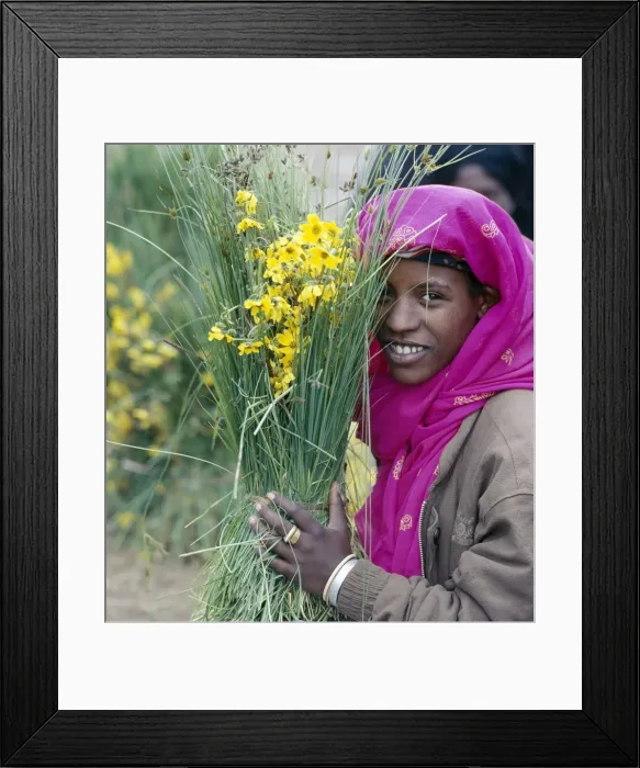 Framed Print : A man winnows Teff, a small-grained cereal, with a wooden hayfork Framed Print : A man winnows Teff, a small-grained cereal, with a wooden hayfork