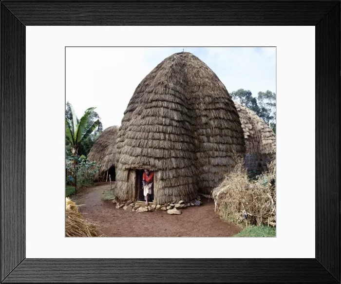 Framed Print : The Dorze people living in highlands west of the Abyssinian Framed Print : The Dorze people living in highlands west of the Abyssinian