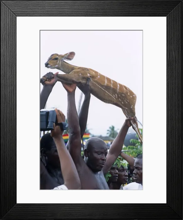 Framed Print : Ghana, Central region, Winneba Framed Print : Ghana, Central region, Winneba