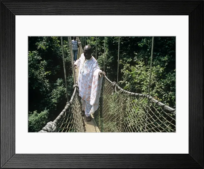 Framed Print : Ghana, Central region, Kakum National Park Framed Print : Ghana, Central region, Kakum National Park