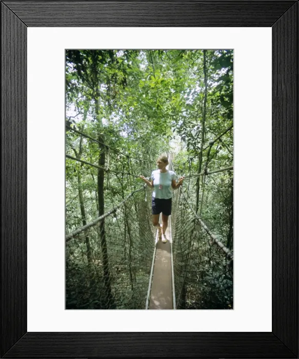 Framed Print : Ghana, Central region, Kakum National Park Framed Print : Ghana, Central region, Kakum National Park