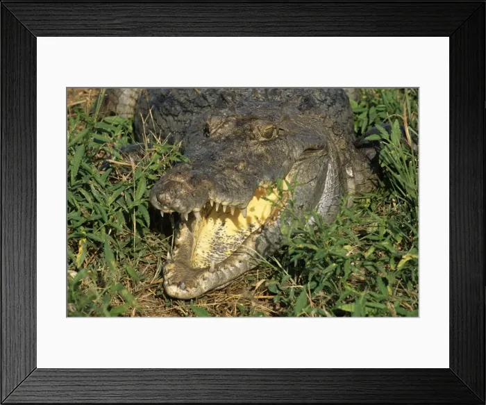Framed Print : Ghana, Upper east region, Paga Framed Print : Ghana, Upper east region, Paga