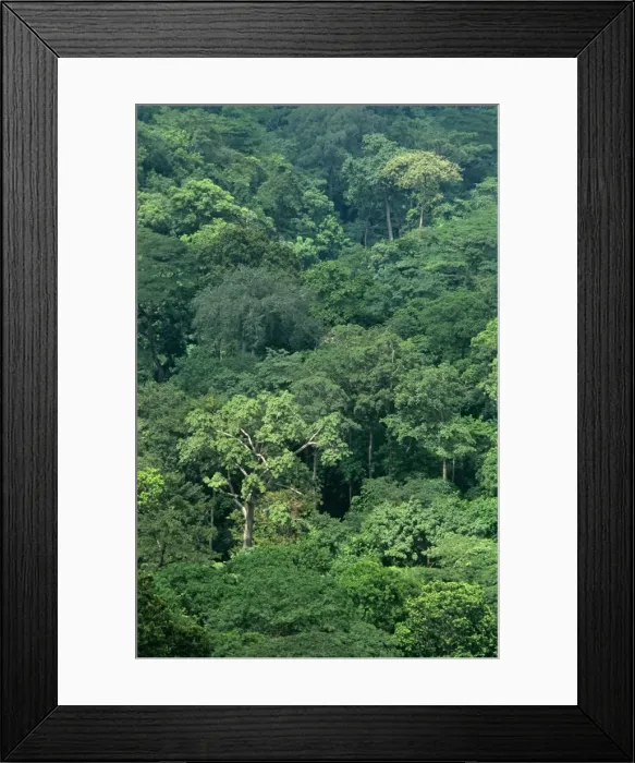 Framed Print : Ghana, Volta Region, Shairi Framed Print : Ghana, Volta Region, Shairi