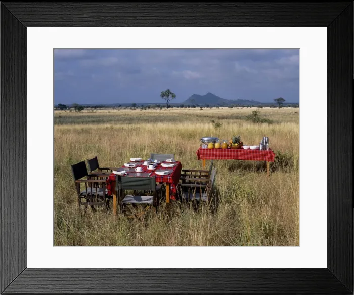 Framed Print : Bush breakfast from Elsas Kopje Framed Print : Bush breakfast from Elsas Kopje