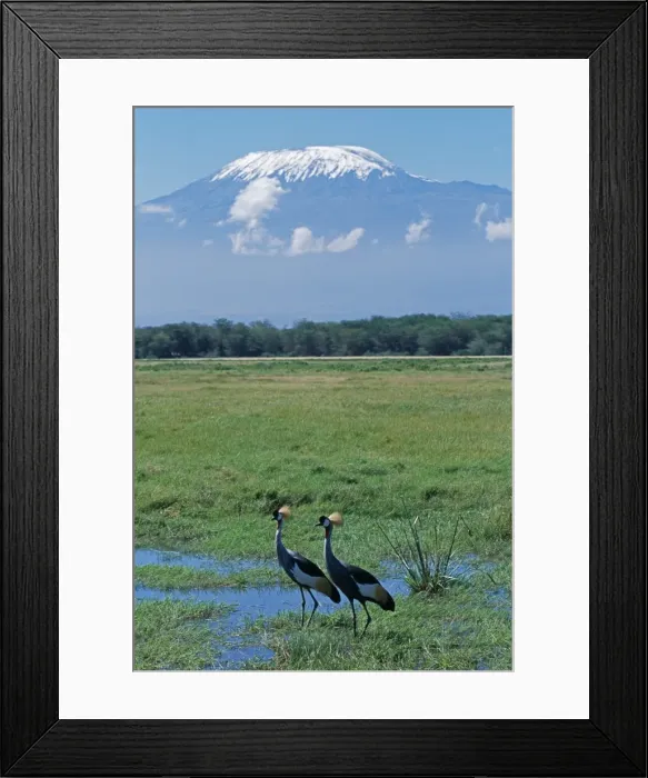 Framed Print : Kenya, Amboseli National Park