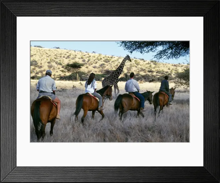 Framed Print : Guests view game from horseback at Wilderness Trails, Lewa Downs Framed Print : Guests view game from horseback at Wilderness Trails, Lewa Downs