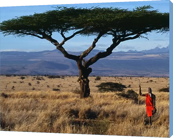 Kenya, Mount Kenya, Lewa Downs