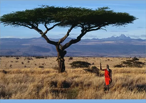 Kenya, Mount Kenya, Lewa Downs
