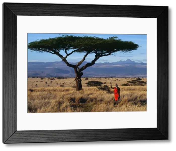 Framed Print : Kenya, Mount Kenya, Lewa Downs Framed Print : Kenya, Mount Kenya, Lewa Downs