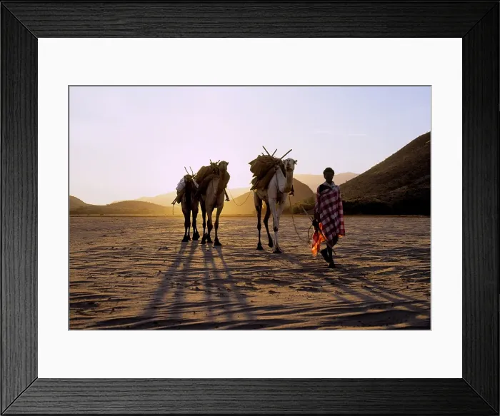 Framed Print : At sunrise Framed Print : At sunrise