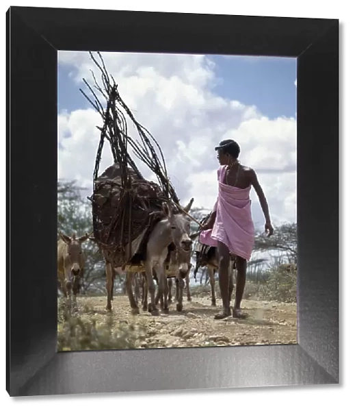 A young Samburu man leads a donkey carrying the basic