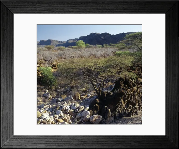 Framed Print : Semi-arid, thorn scrub country Framed Print : Semi-arid, thorn scrub country