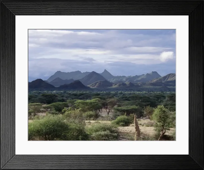 Framed Print : At the onset of rain Framed Print : At the onset of rain