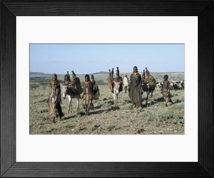 Framed Print : Donkeys are indispensable beast of burden Framed Print : Donkeys are indispensable beast of burden
