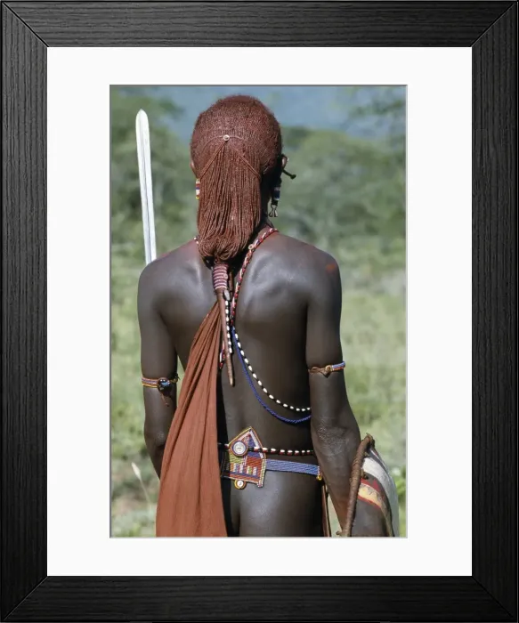Framed Print : A back view of a Msai warrior resplendent with long Framed Print : A back view of a Msai warrior resplendent with long