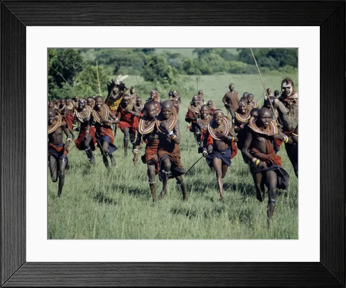 Framed Print : A jovial group of Msai girls are chased by warriors during a ceremony Framed Print : A jovial group of Msai girls are chased by warriors during a ceremony
