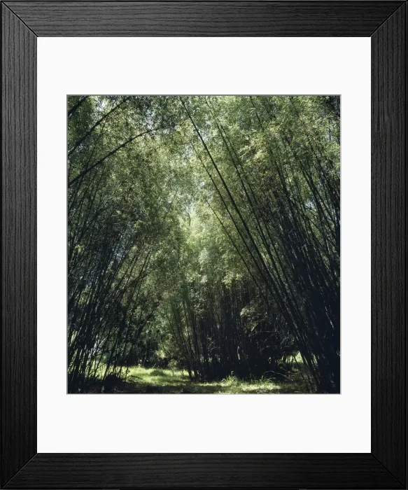 Framed Print : Kenya, Aberdare National Park, Aberdare Mountains