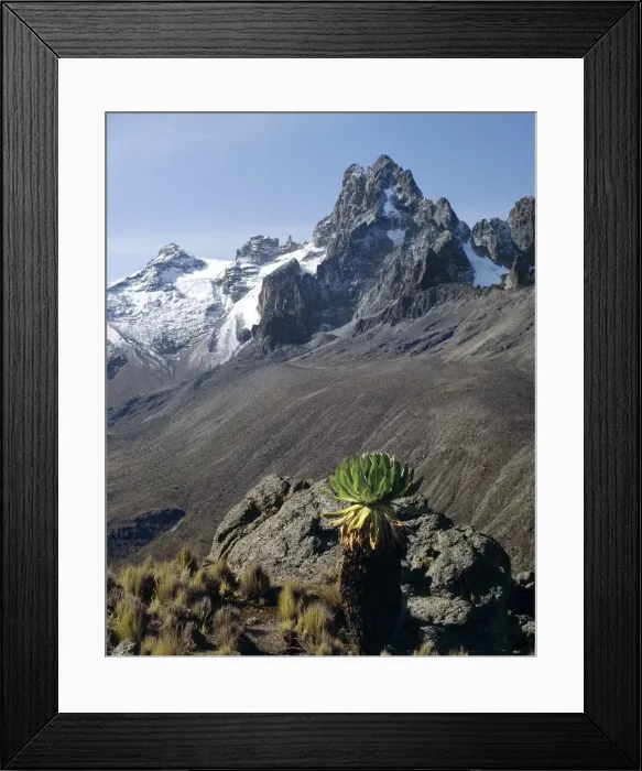 Framed Print : Kenya, Central Highlands Framed Print : Kenya, Central Highlands