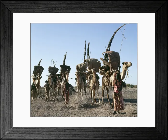 Framed Print : Women of the nomadic Gabbra tribe prepare to move their Framed Print : Women of the nomadic Gabbra tribe prepare to move their