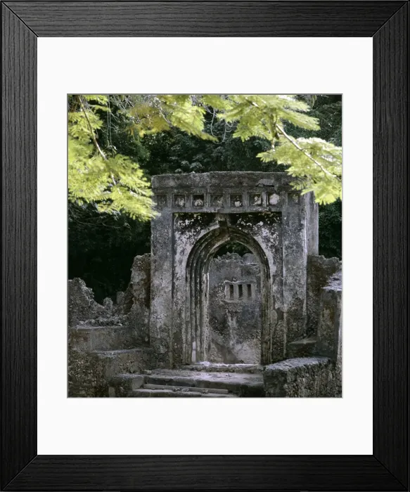 Framed Print : The entrance to the Palace of Gedi Framed Print : The entrance to the Palace of Gedi