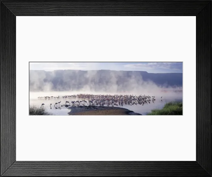 Framed Print : Geysers, hot springs and thousands of lesser flamingos