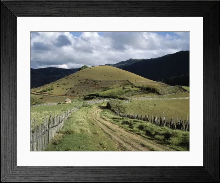 Framed Print : A small dirt road winds its way through fine farming Framed Print : A small dirt road winds its way through fine farming