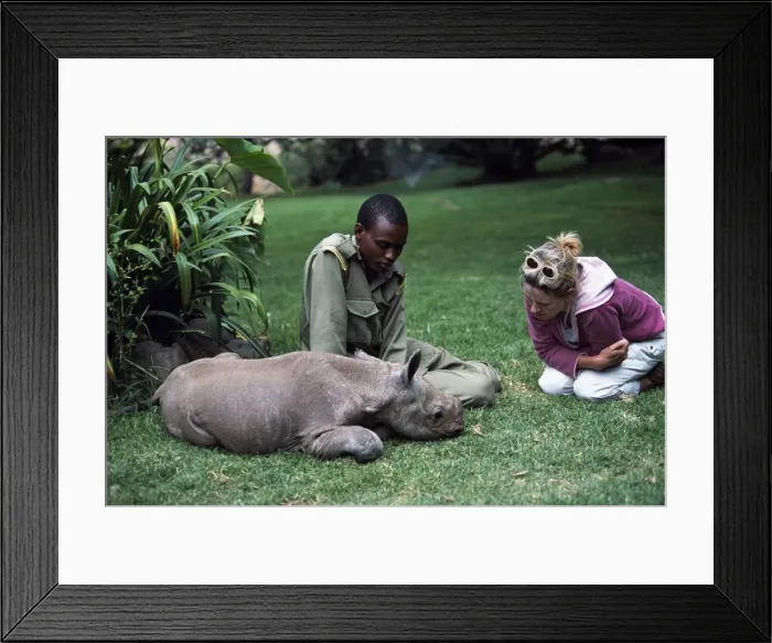Framed Print : Baby Rhino Framed Print : Baby Rhino