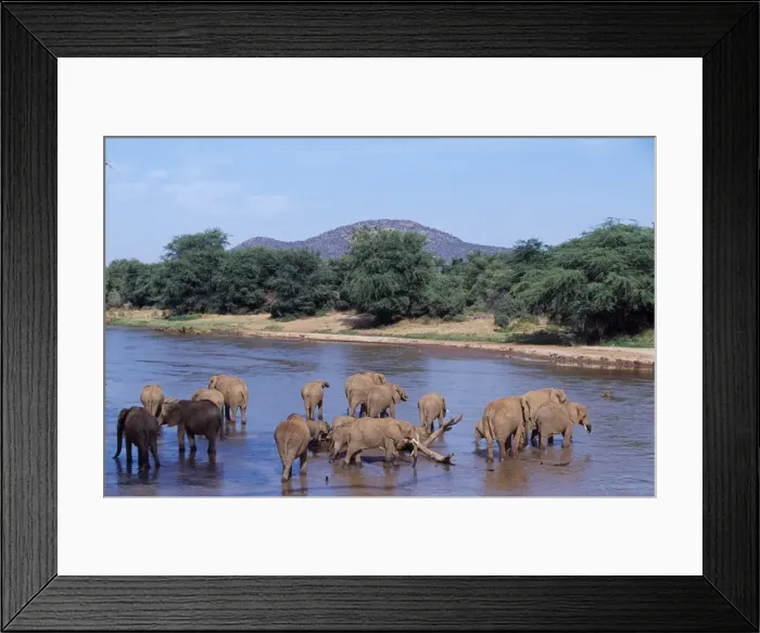 Framed Print : Kenya, Samburu, Buffalo Springs Reserve Framed Print : Kenya, Samburu, Buffalo Springs Reserve