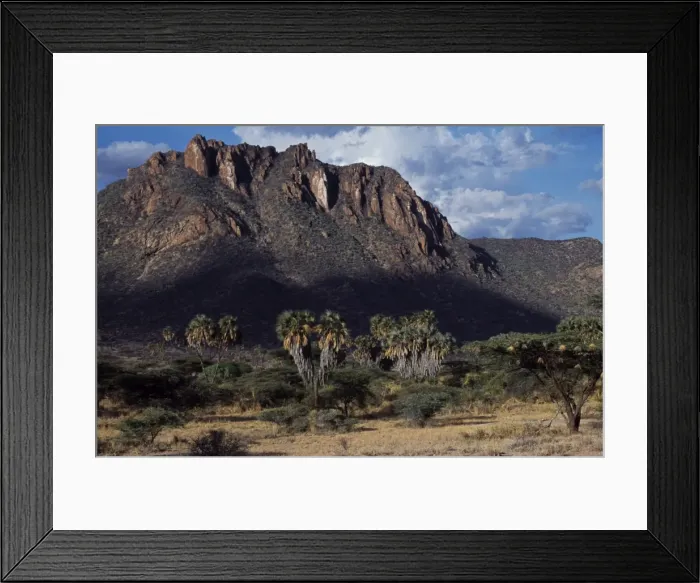 Framed Print : Kenya, Samburu, Shaba Framed Print : Kenya, Samburu, Shaba