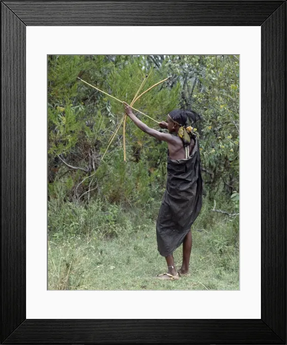 Framed Print : A Samburu initiate takes aim at a bird with a blunt arrow