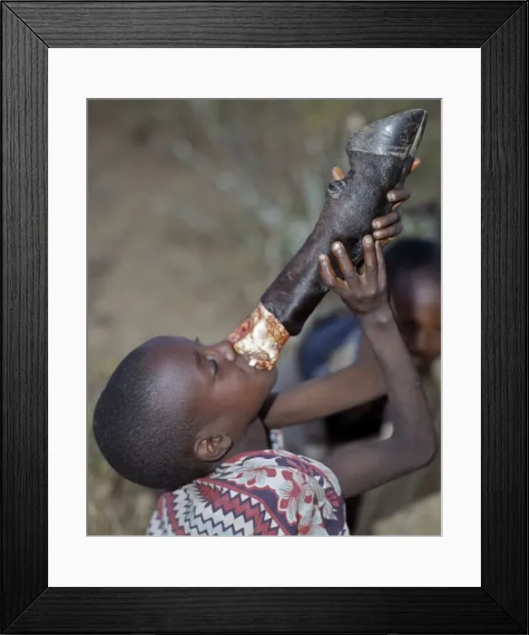 Framed Print : A young Samburu boy sucks marrow straight from the leg bone of a cow Framed Print : A young Samburu boy sucks marrow straight from the leg bone of a cow