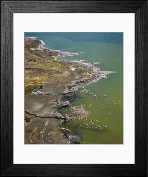 Framed Print : The alkaline waters of Lake Bogoria are a favourite Framed Print : The alkaline waters of Lake Bogoria are a favourite