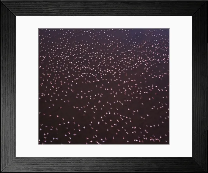 Framed Print : The alkaline waters of the seasonal Lake Logipi Framed Print : The alkaline waters of the seasonal Lake Logipi