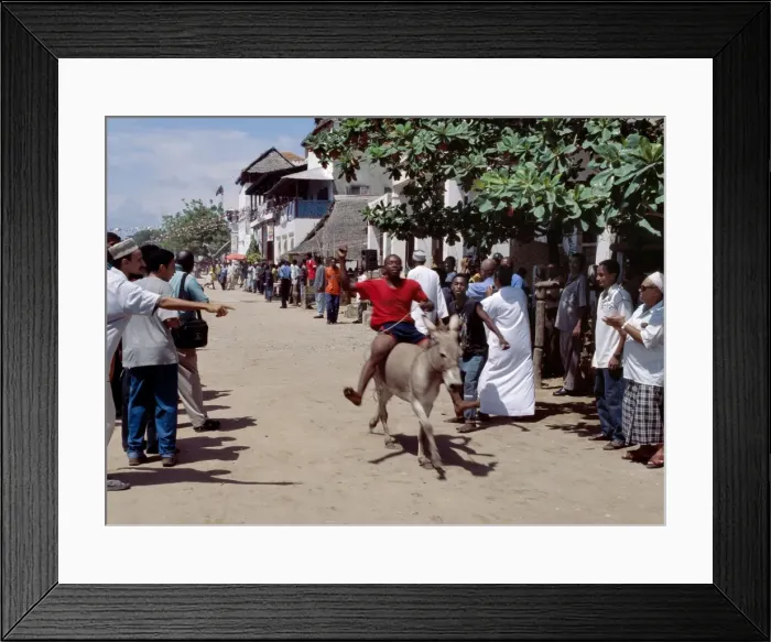 Framed Print : A donkey race is held on Lamu Island as part of Framed Print : A donkey race is held on Lamu Island as part of