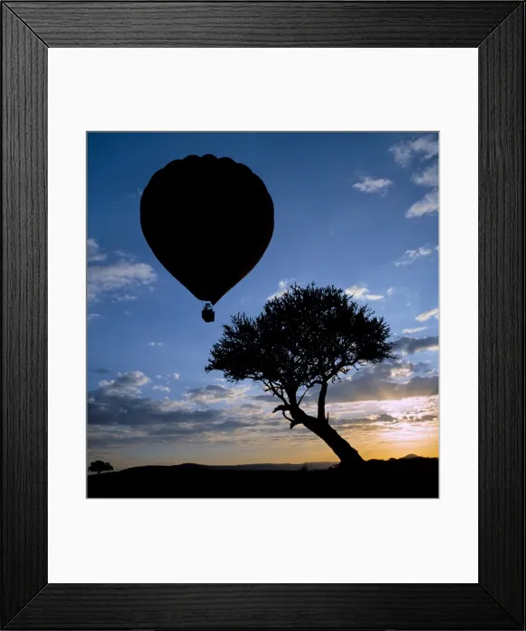 Framed Print : A hot air balloon takes off in Masai Mara Game Reserve Framed Print : A hot air balloon takes off in Masai Mara Game Reserve