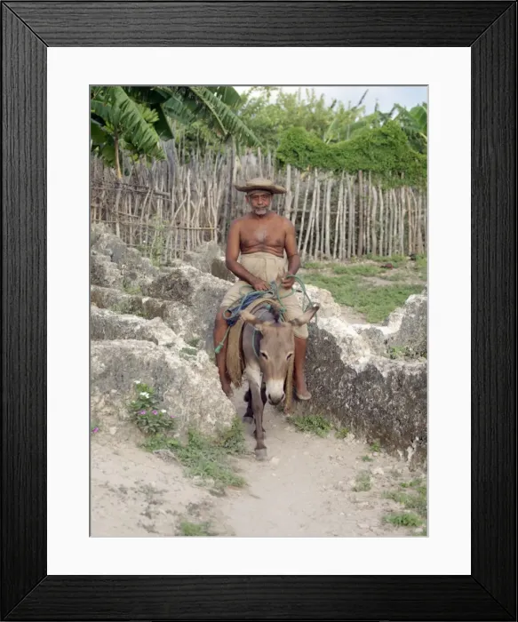 Framed Print : An inhabitant of Pate village rides his donkey through Framed Print : An inhabitant of Pate village rides his donkey through