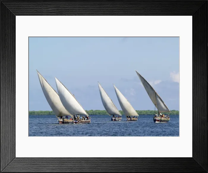 Framed Print : Dhows sailing off Lamu Island Framed Print : Dhows sailing off Lamu Island