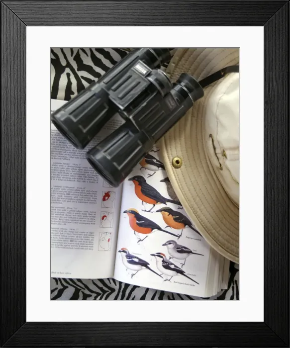 Framed Print : Bird book, binoculars and safari hat Framed Print : Bird book, binoculars and safari hat