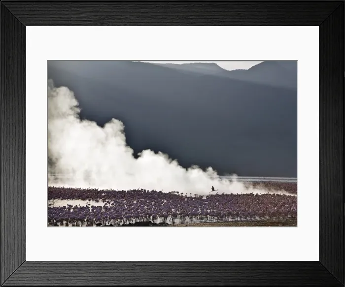 Framed Print : Kenya, Kabarnet, Lake Bogoria Framed Print : Kenya, Kabarnet, Lake Bogoria