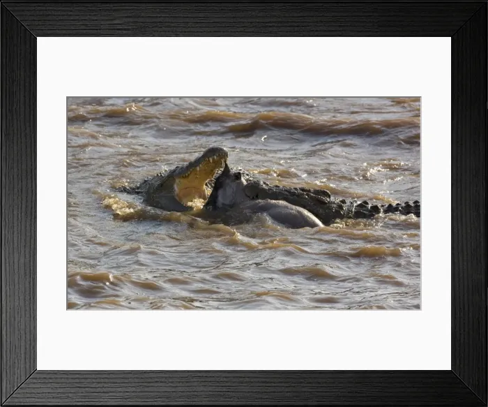Framed Print : Kenya, Msai Mara, Narok district Framed Print : Kenya, Msai Mara, Narok district