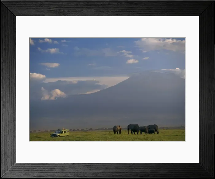 Framed Print : Elephant, Mt Framed Print : Elephant, Mt