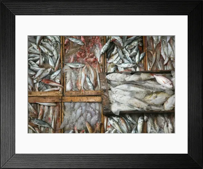Framed Print : Fish market, Commercial Port, Agadir, Atlantic Coast, Morocco