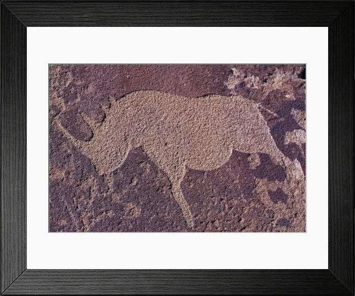 Framed Print : Bushman Rhino Petroglyph near caves formations at Twyfelfontein Framed Print : Bushman Rhino Petroglyph near caves formations at Twyfelfontein