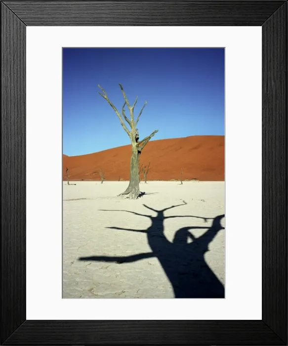 Framed Print : Dead Vlei Framed Print : Dead Vlei
