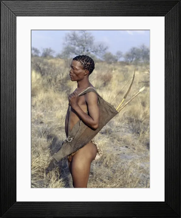 Framed Print : A !Kung hunter-gatherer stands ready to accompany his Framed Print : A !Kung hunter-gatherer stands ready to accompany his
