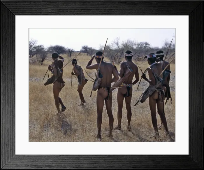 Framed Print : !Kung hunter-gatherers pause to check a distant wild Framed Print : !Kung hunter-gatherers pause to check a distant wild