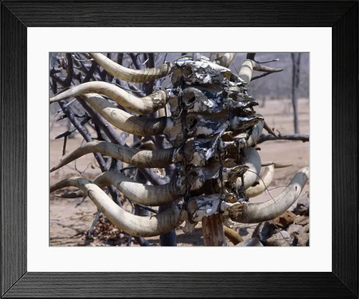 Framed Print : When the wealthy and important head of a Himba lineage dies Framed Print : When the wealthy and important head of a Himba lineage dies