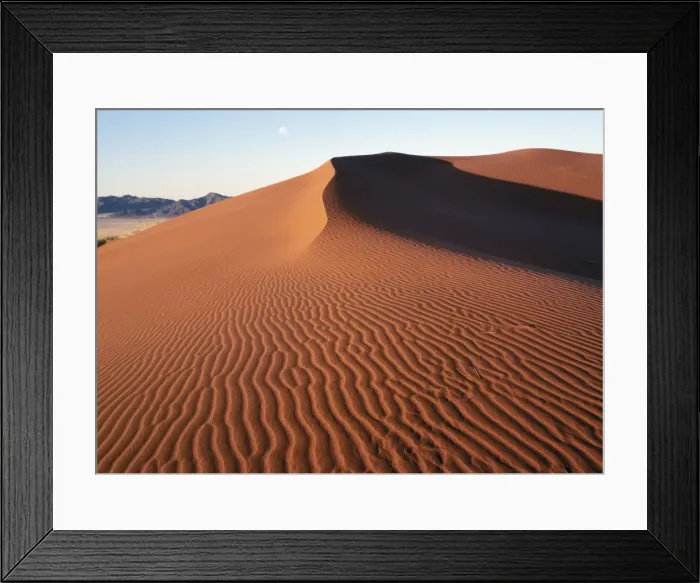 Framed Print : In early morning light Framed Print : In early morning light