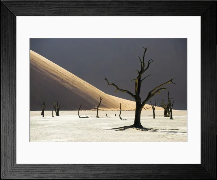 Framed Print : Blackened camelthorn trees in Dead Vlei, near Sossusvlei, Namibia Framed Print : Blackened camelthorn trees in Dead Vlei, near Sossusvlei, Namibia