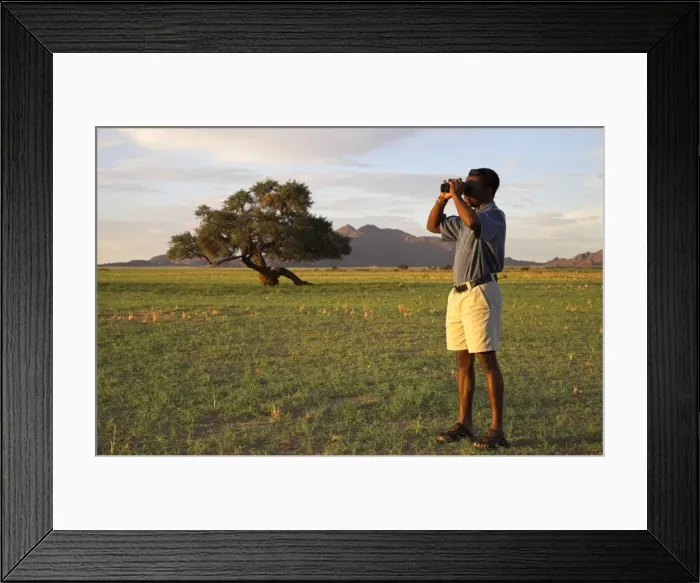 Framed Print : A safari guide scans the horizon with his binoculars Framed Print : A safari guide scans the horizon with his binoculars